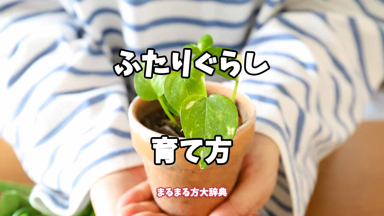 【プロが解説】ふたりぐらしの育て方