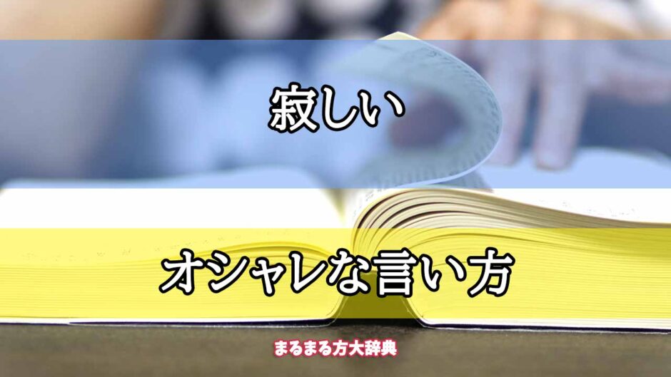 「寂しい」のオシャレな言い方【プロが解説！】