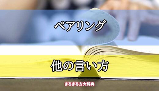 「ペアリング」の他の言い方【プロが解説！】