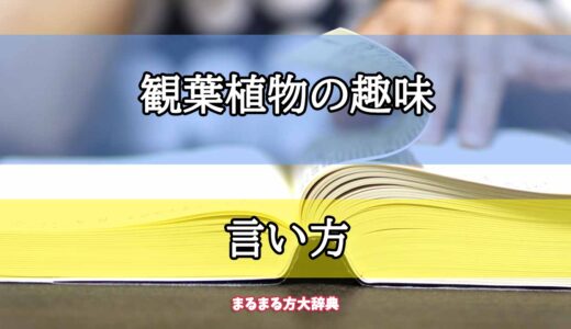 「観葉植物の趣味」の言い方【プロが解説！】