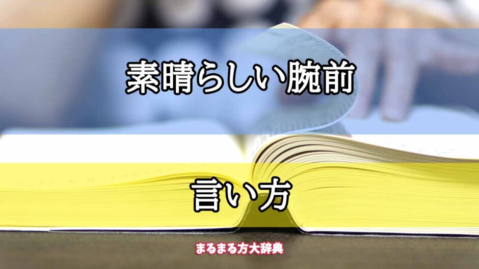 「素晴らしい腕前」の言い方【プロが解説！】