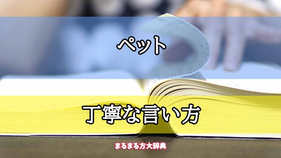 「ペット」の丁寧な言い方【プロが解説！】