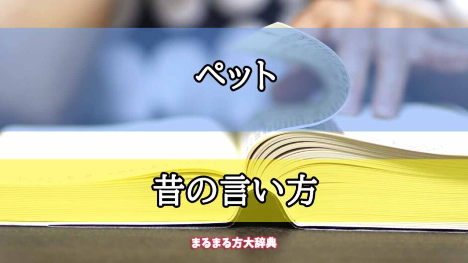 「ペット」の昔の言い方【プロが解説！】