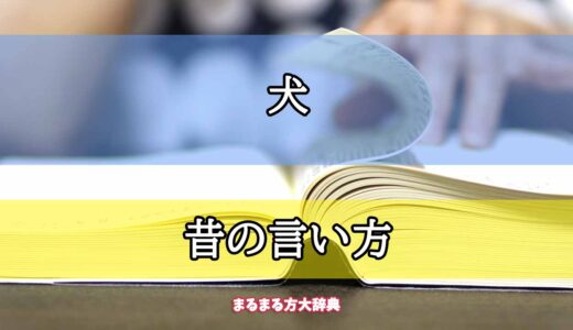 「犬」の昔の言い方【プロが解説！】