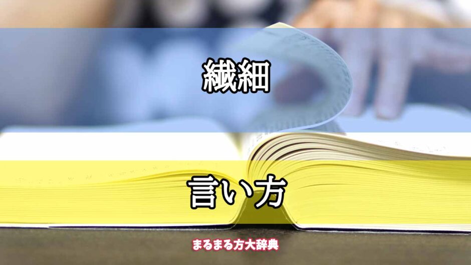 「繊細」の言い方【プロが解説！】