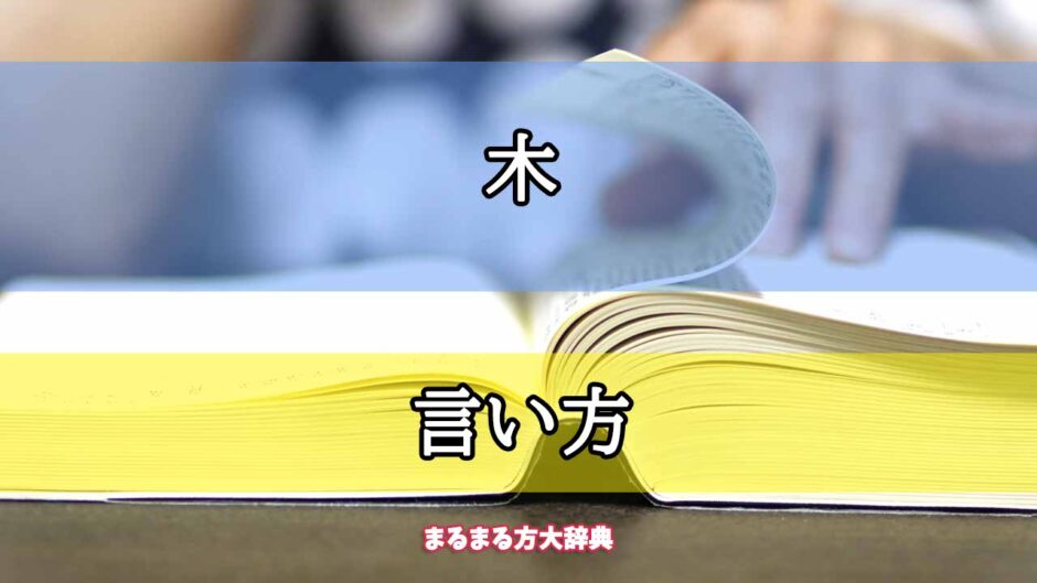 「木」の言い方【プロが解説！】