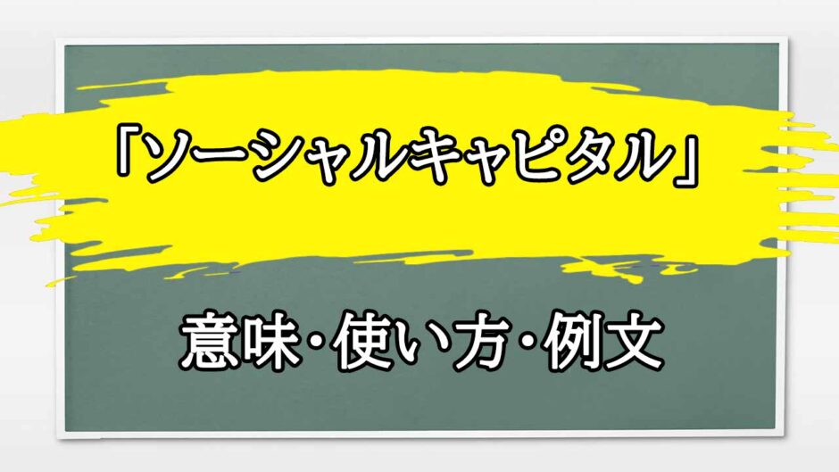 「ソーシャルキャピタル」の例文と意味・使い方をビジネスマンが解説