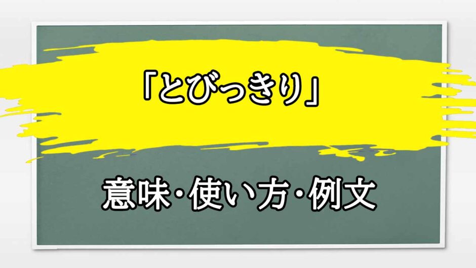 「とびっきり」の例文と意味・使い方をビジネスマンが解説