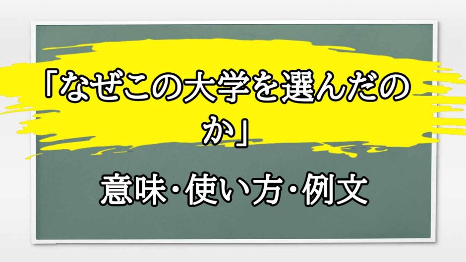 「なぜこの大学を選んだのか」の例文と意味・使い方をビジネスマンが解説