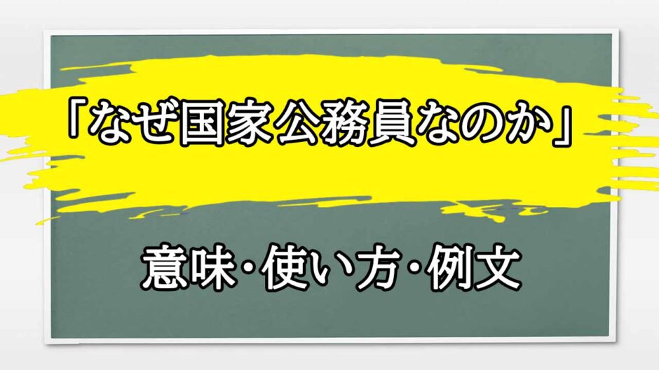 「なぜ国家公務員なのか」の例文と意味・使い方をビジネスマンが解説