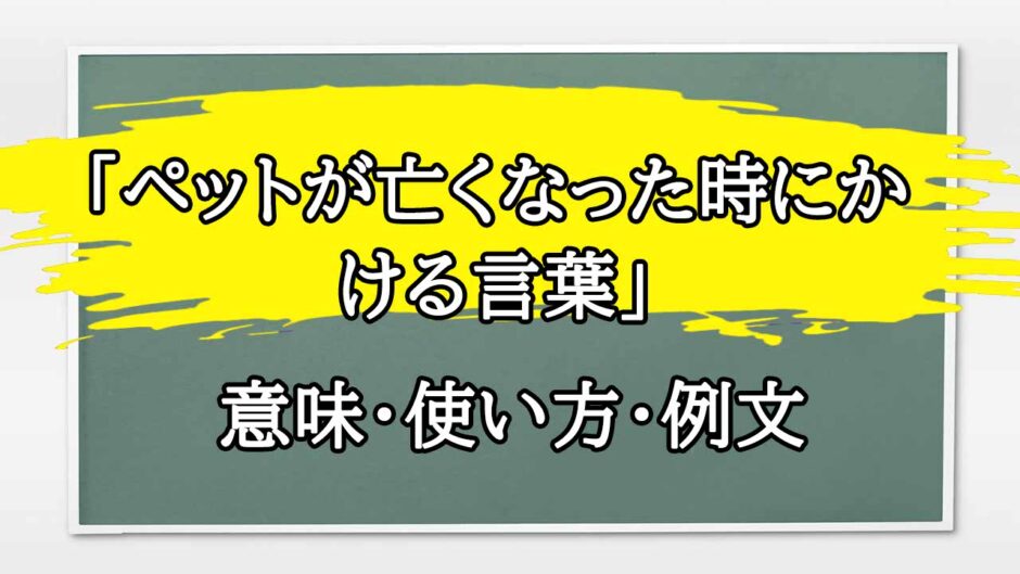 「ペットが亡くなった時にかける言葉」の例文と意味・使い方をビジネスマンが解説