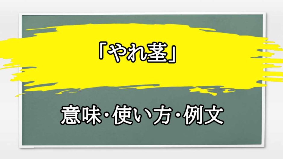 「やれ茎」の例文と意味・使い方をビジネスマンが解説