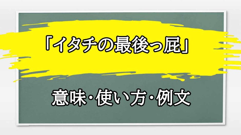 「イタチの最後っ屁」の例文と意味・使い方をビジネスマンが解説