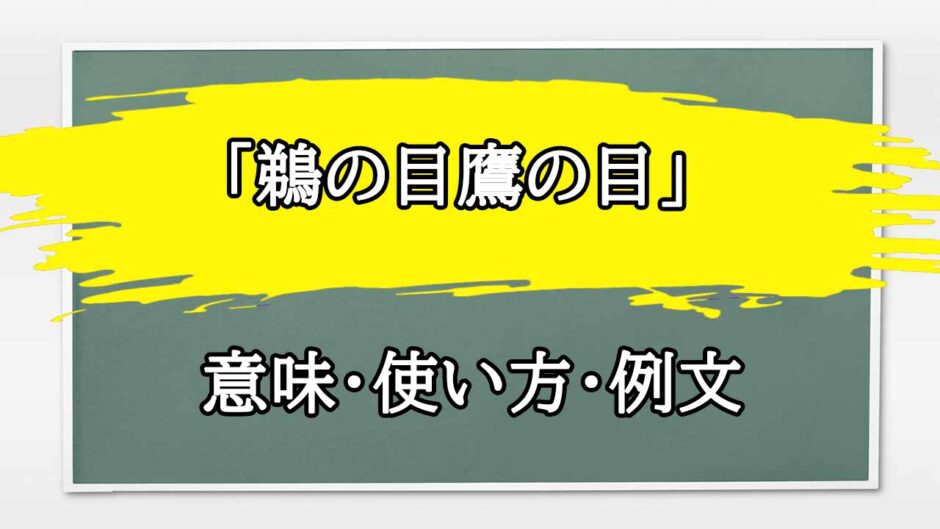 「鵜の目鷹の目」の例文と意味・使い方をビジネスマンが解説