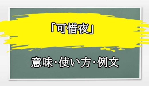 「可惜夜」の例文と意味・使い方をビジネスマンが解説