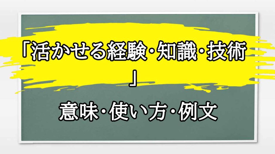 「活かせる経験・知識・技術」の例文と意味・使い方をビジネスマンが解説