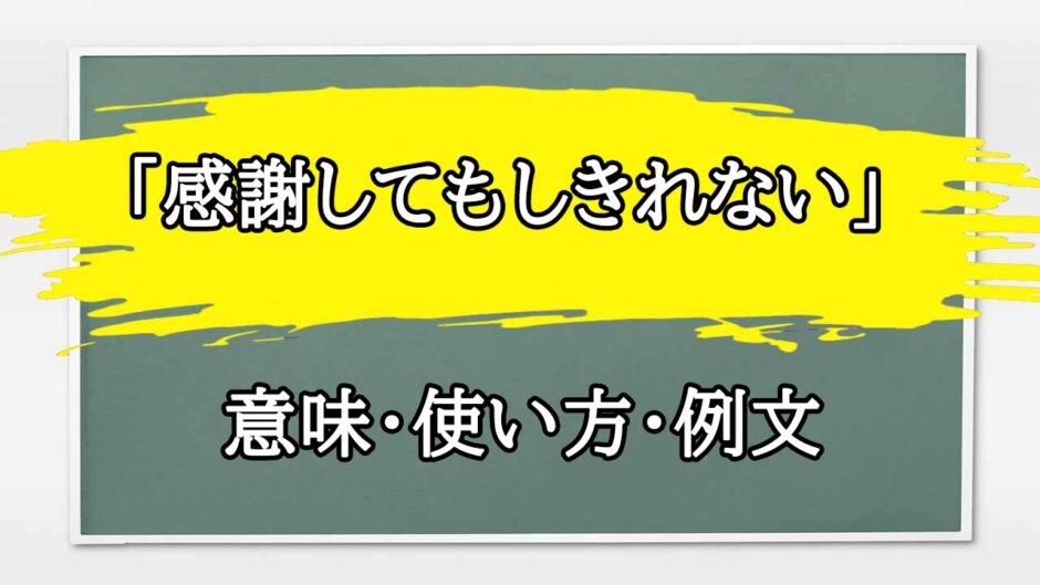 「感謝してもしきれないくらい」の例文と意味・使い方をビジネスマンが解説