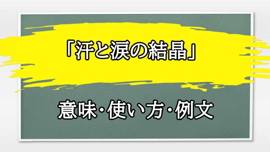 「汗と涙の結晶」の例文と意味・使い方をビジネスマンが解説