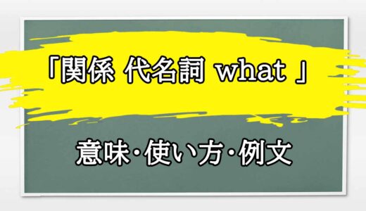 「関係 代名詞 what 」の例文と意味・使い方をビジネスマンが解説