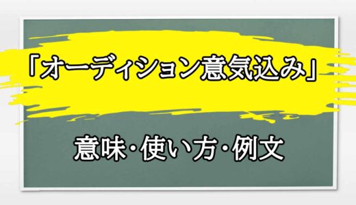 「オーディション意気込み」の例文と意味・使い方をビジネスマンが解説