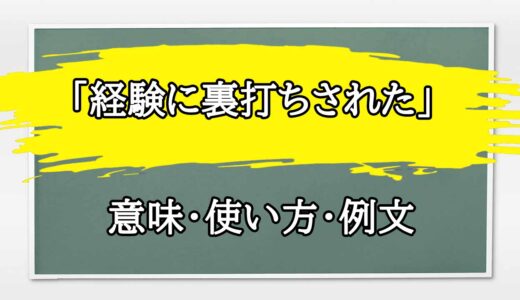 「経験に裏打ちされた」の例文と意味・使い方をビジネスマンが解説