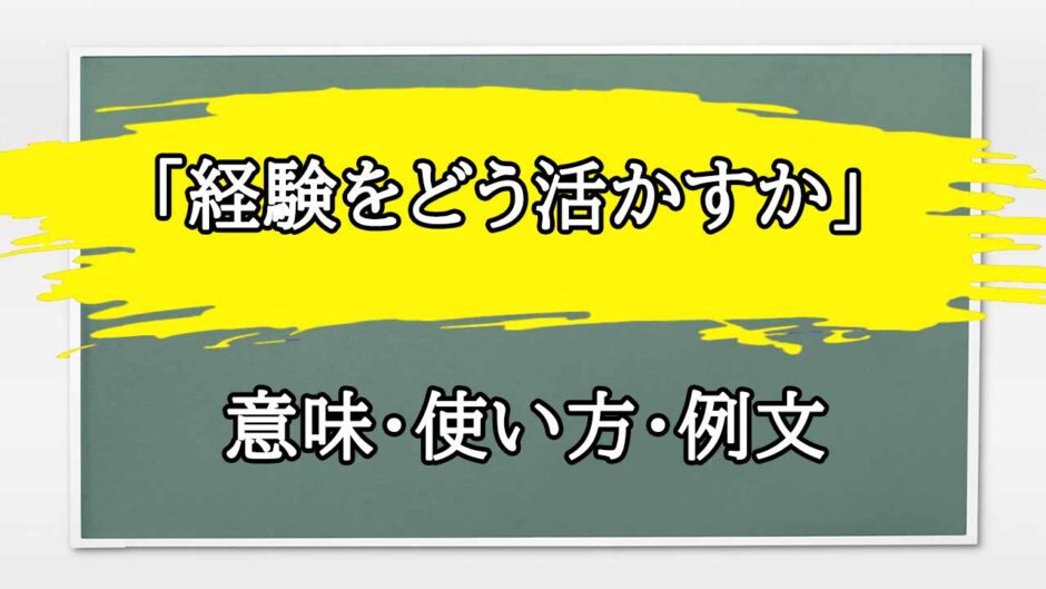 「経験をどう活かすか」の例文と意味・使い方をビジネスマンが解説