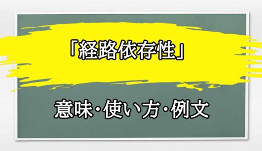 「経路依存性」の例文と意味・使い方をビジネスマンが解説