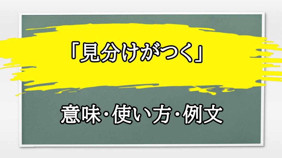 「見分けがつく」の例文と意味・使い方をビジネスマンが解説