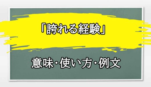 「誇れる経験」の例文と意味・使い方をビジネスマンが解説