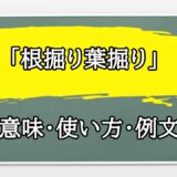 「根掘り葉掘り」の例文と意味・使い方をビジネスマンが解説