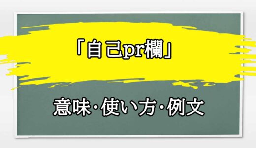 「自己pr欄」の例文と意味・使い方をビジネスマンが解説