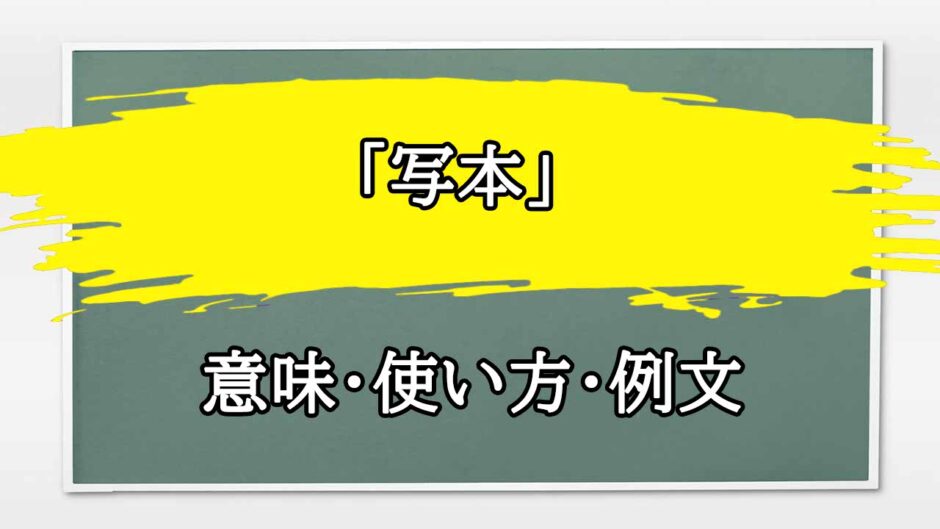 「写本」の例文と意味・使い方をビジネスマンが解説