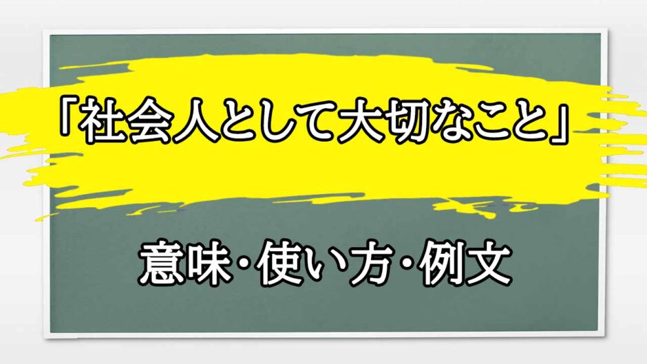 「社会人として大切なこと」の例文と意味・使い方をビジネスマンが解説