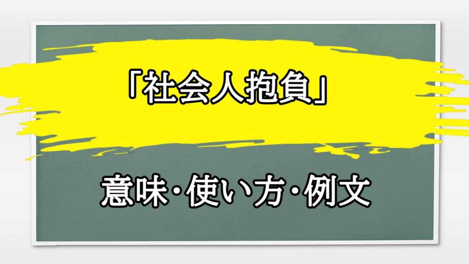 「社会人抱負」の例文と意味・使い方をビジネスマンが解説
