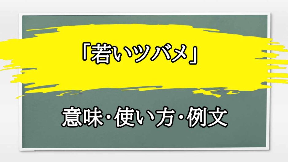 「若いツバメ」の例文と意味・使い方をビジネスマンが解説