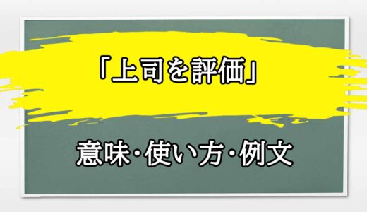 「上司を評価」の例文と意味・使い方をビジネスマンが解説