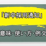 「新卒採用通知」の例文と意味・使い方をビジネスマンが解説