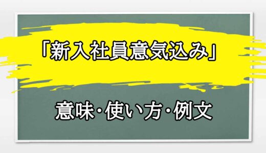 「新入社員意気込み」の例文と意味・使い方をビジネスマンが解説