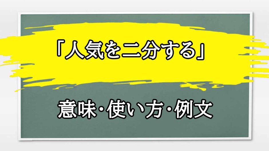 「人気を二分する」の例文と意味・使い方をビジネスマンが解説