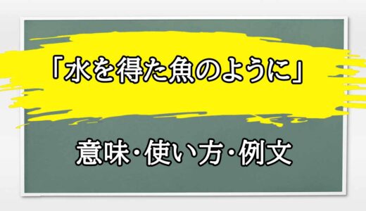 「水を得た魚のよう」の例文と意味・使い方をビジネスマンが解説