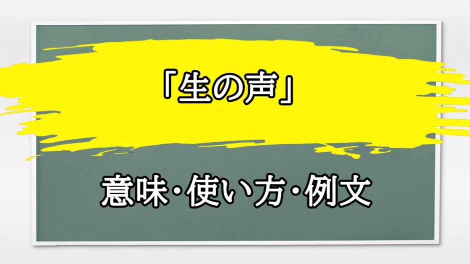 「生の声」の例文と意味・使い方をビジネスマンが解説