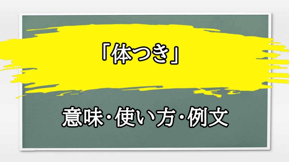 「体つき」の例文と意味・使い方をビジネスマンが解説
