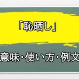 「恥晒し」の例文と意味・使い方をビジネスマンが解説