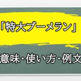 「特大ブーメラン」の例文と意味・使い方をビジネスマンが解説