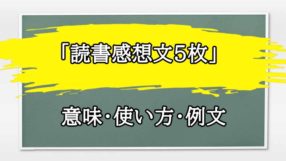 「読書感想文5枚」の例文と意味・使い方をビジネスマンが解説