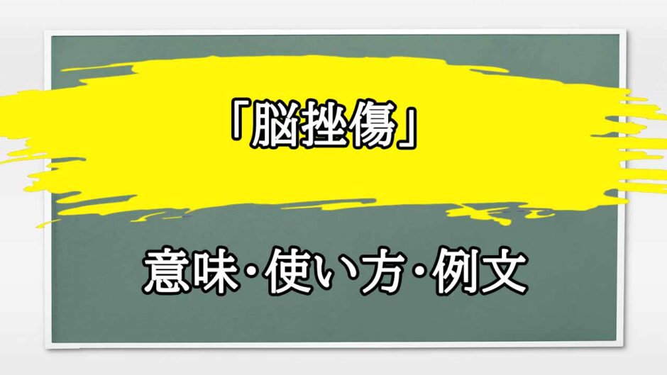 「脳挫傷」の例文と意味・使い方をビジネスマンが解説