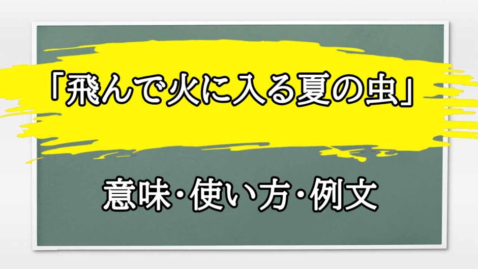 「飛んで火に入る夏の虫」の例文と意味・使い方をビジネスマンが解説