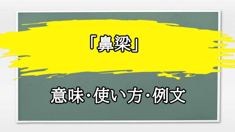 「鼻梁」の例文と意味・使い方をビジネスマンが解説