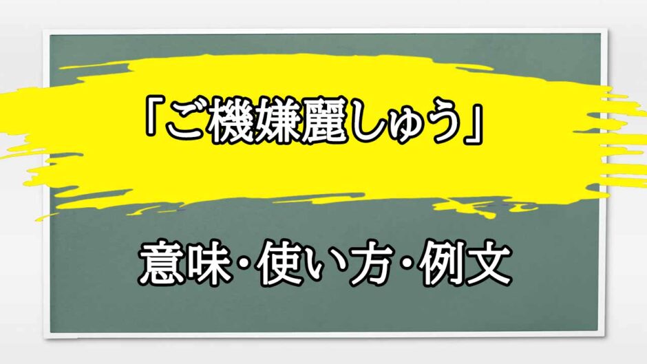 「ご機嫌麗しゅう」の例文と意味・使い方をビジネスマンが解説