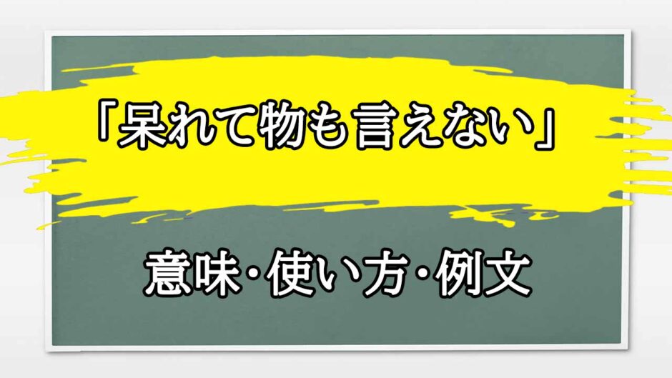 「呆れて物も言えない」の例文と意味・使い方をビジネスマンが解説
